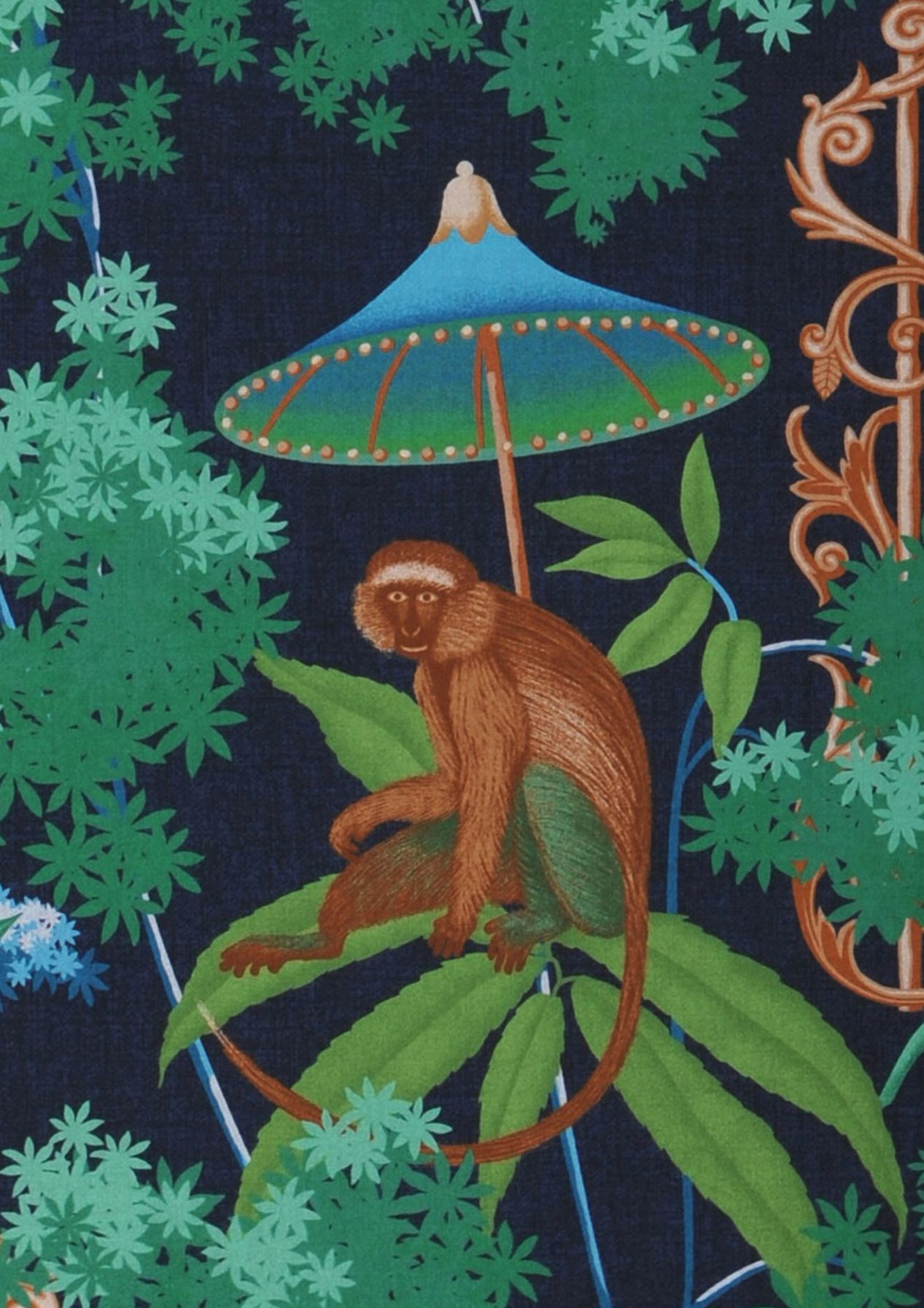 Curious Jungle