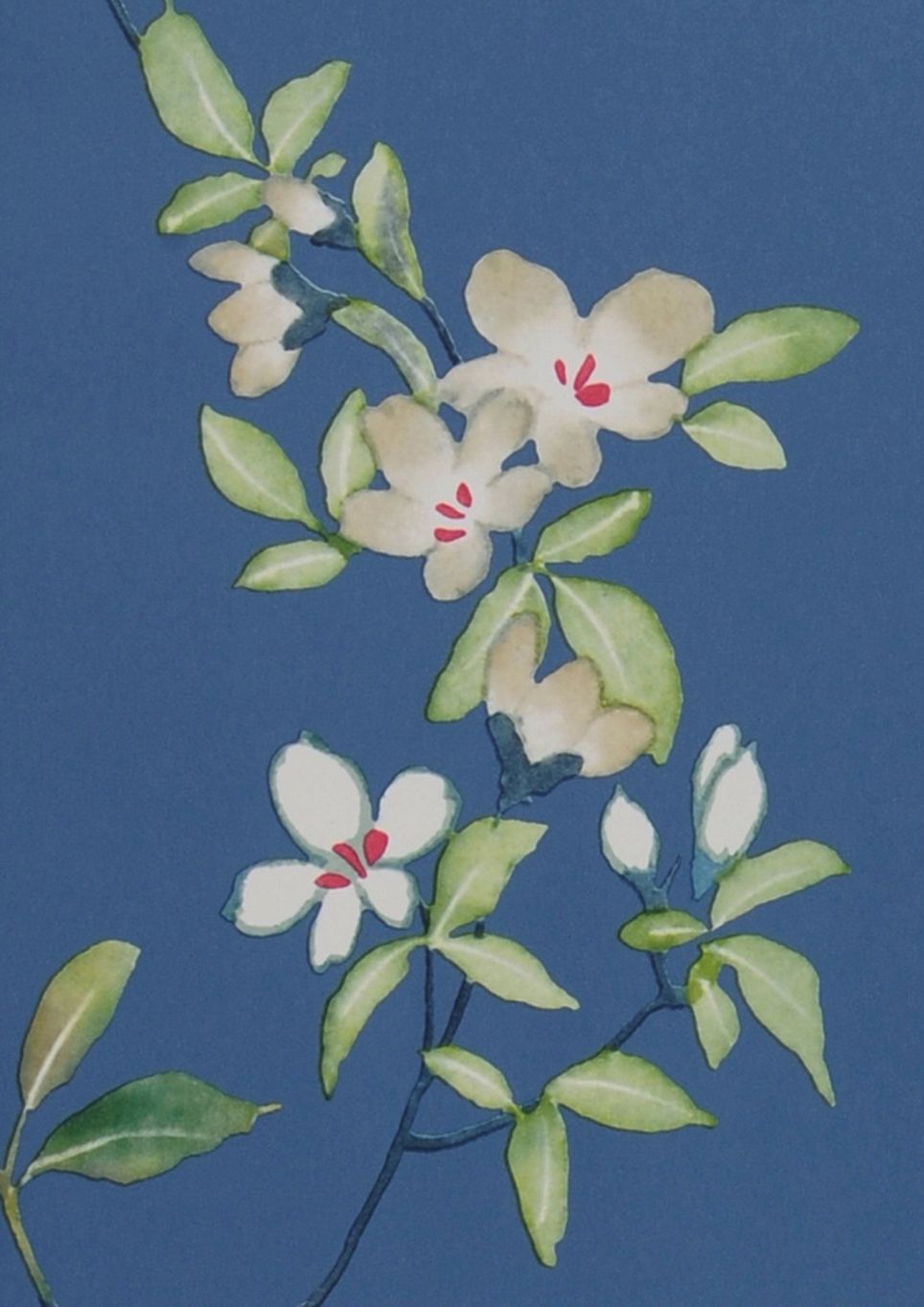 Aquarellflora