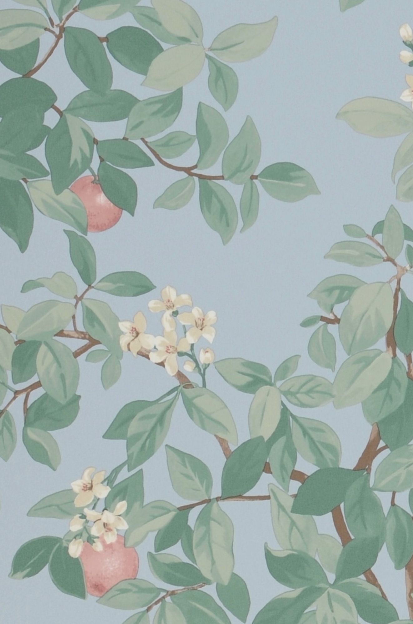Orange Grove