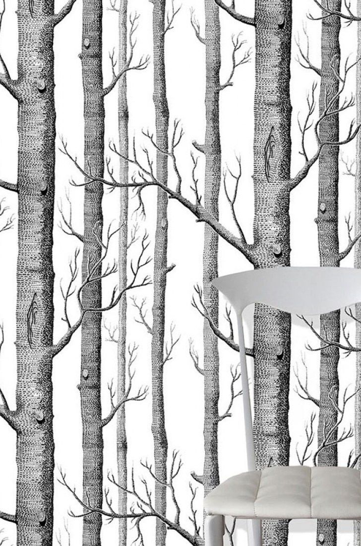 Birch-Forest-B_13810158693d478ac94