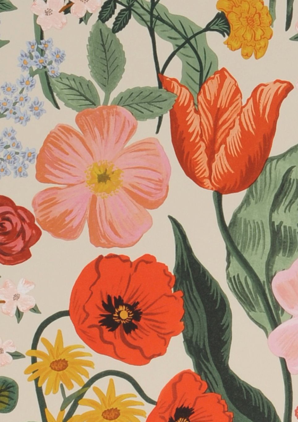 Rifle Blossom