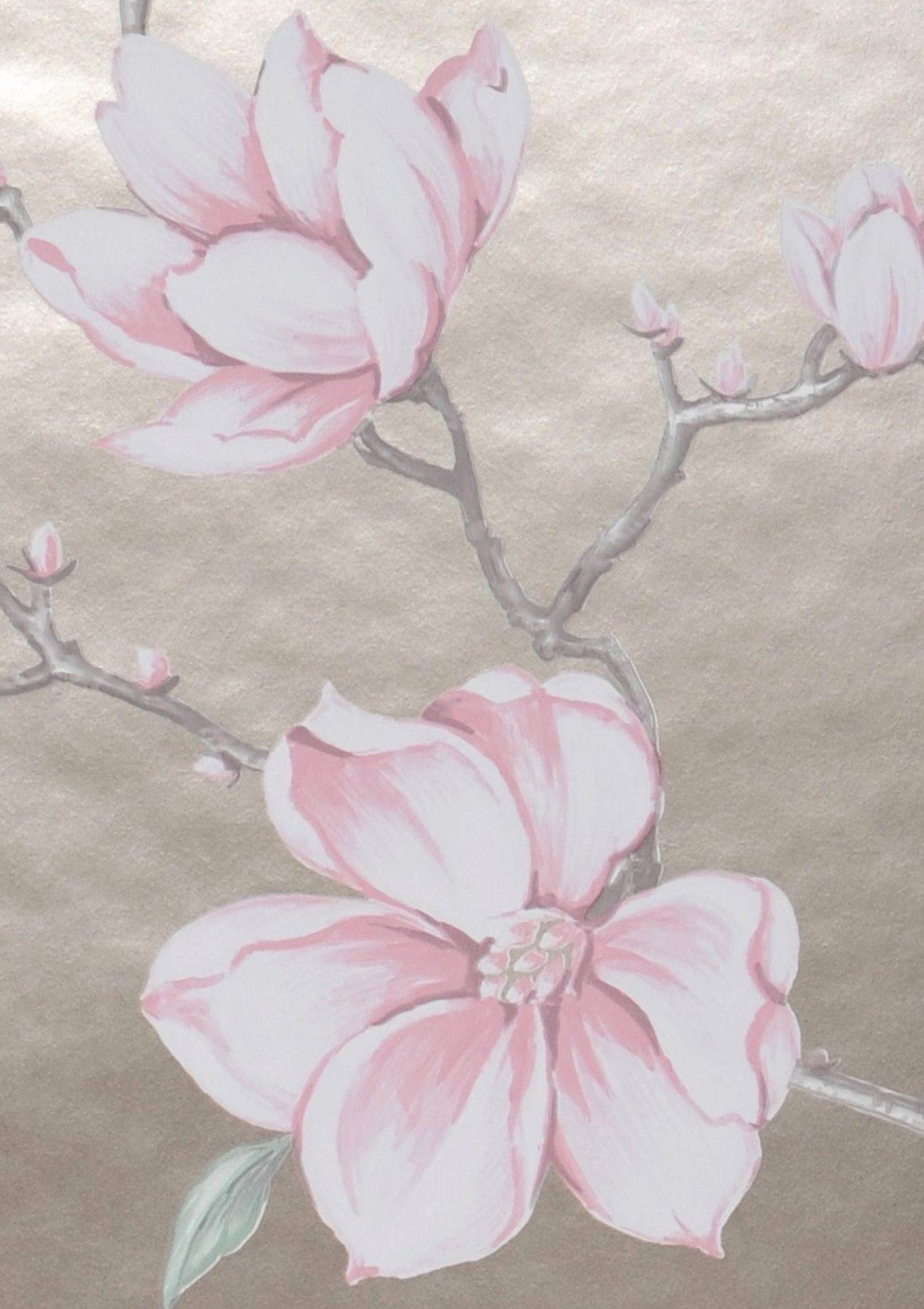 Magnolia