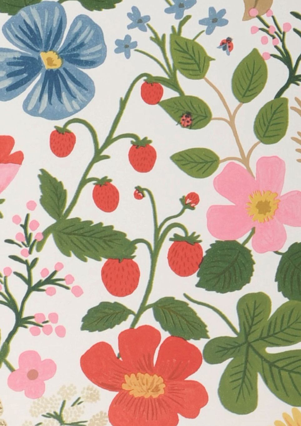 Strawberry Garden