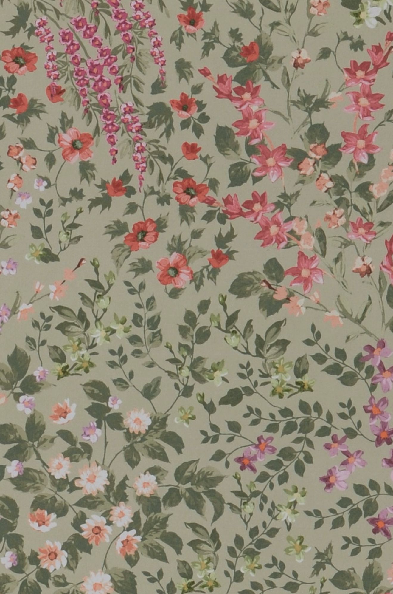 Rosalind