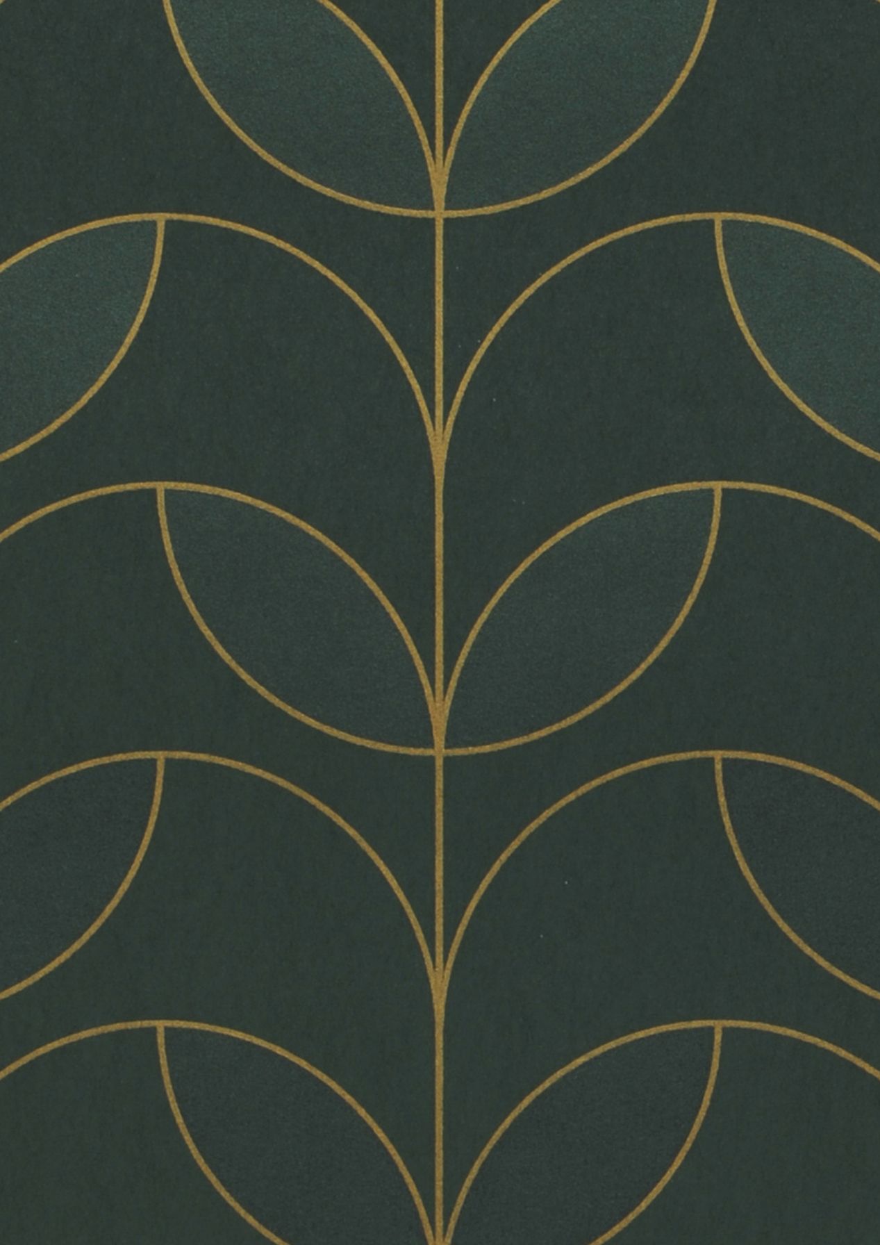 Lotus Loop