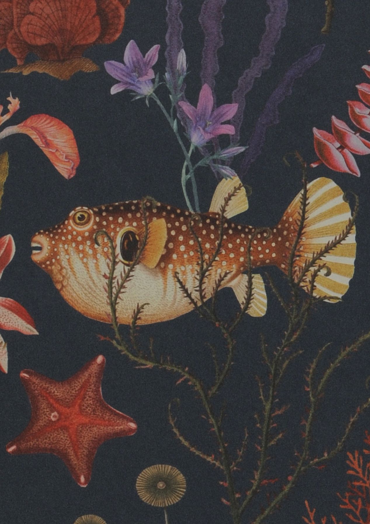 Deep Sea