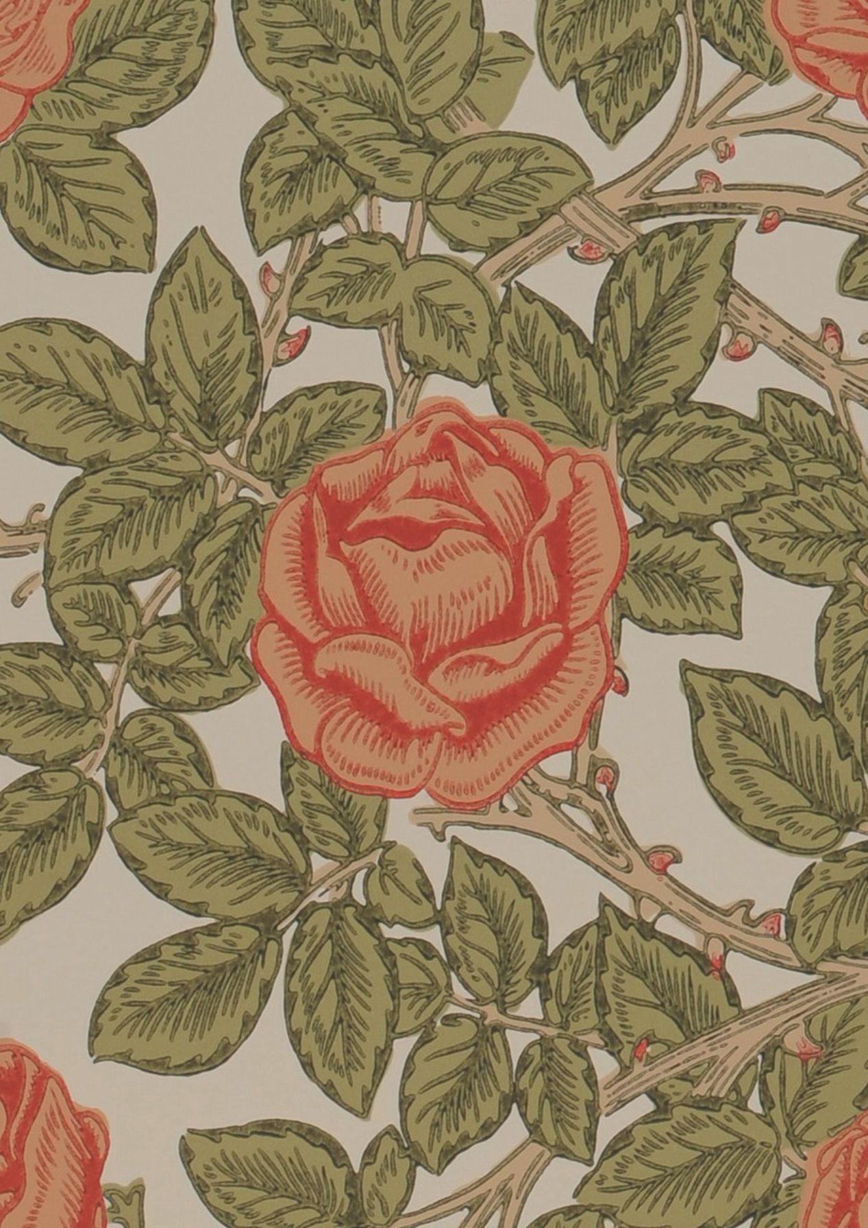 Rambling Rose