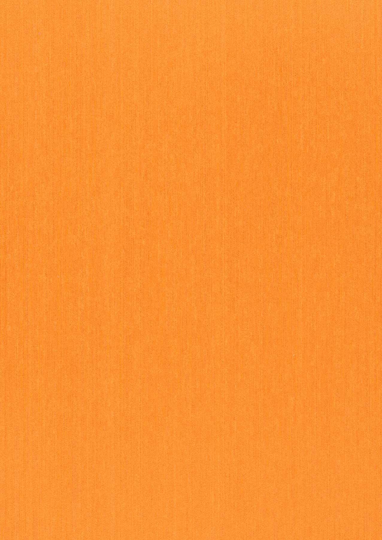 Indian Wallpaper Warp Beauty 02