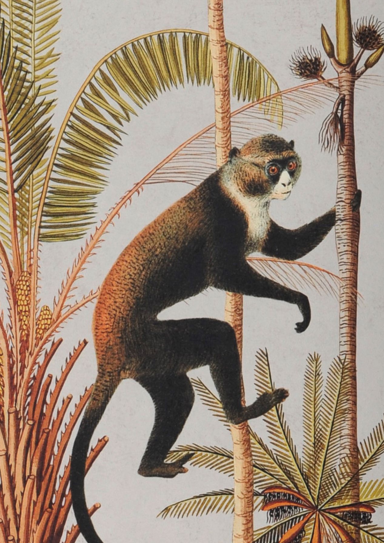Barbados