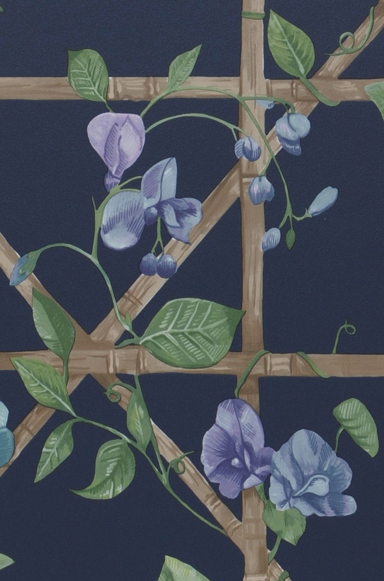 Sweetpea Trellis