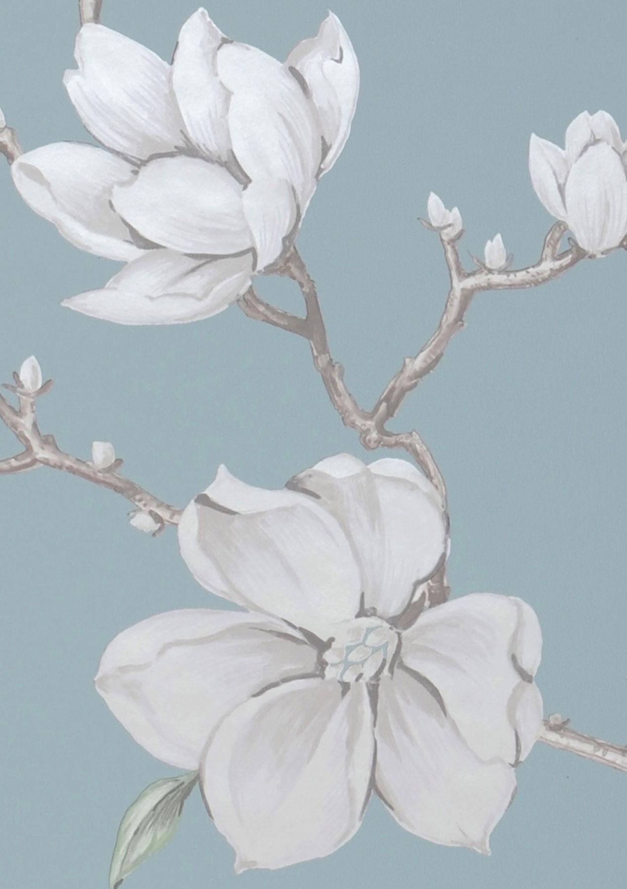 Magnolia