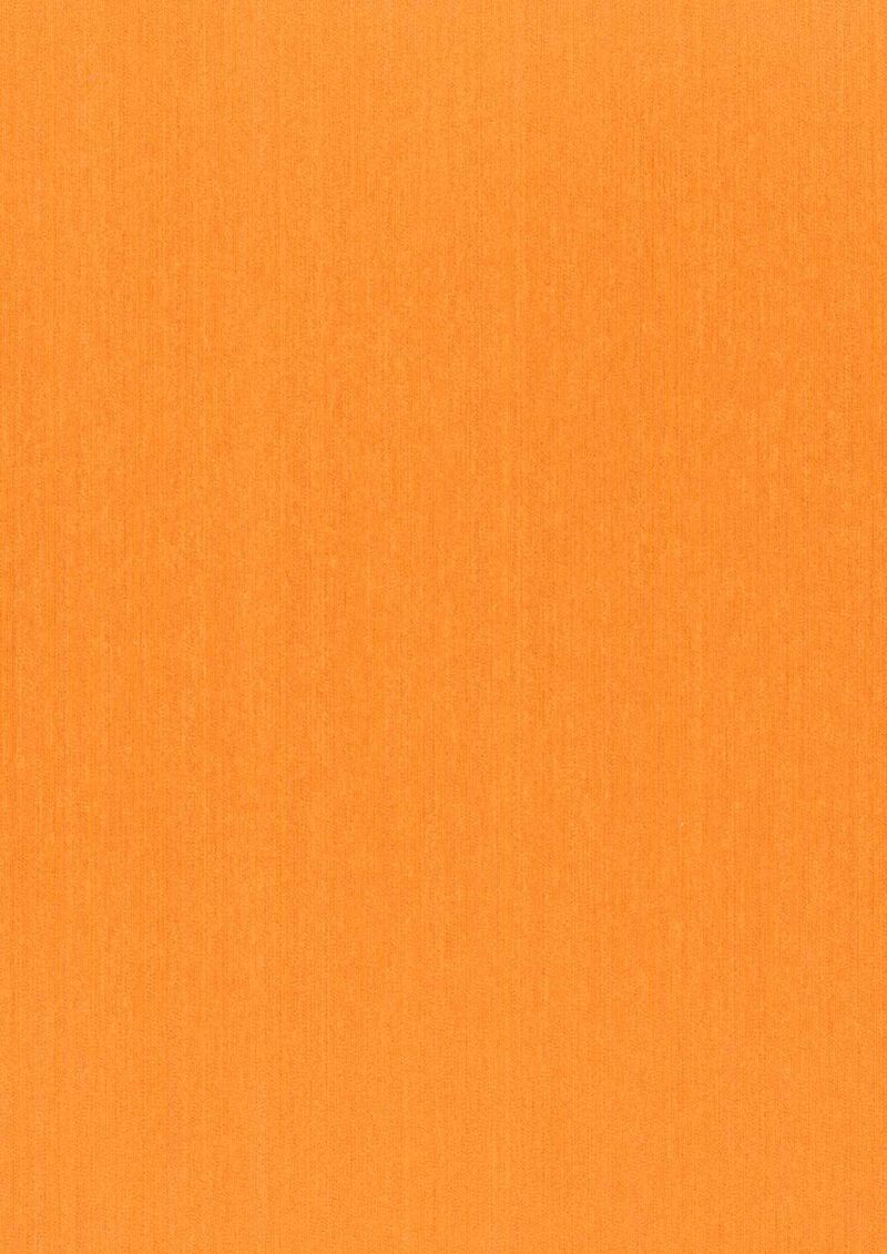 Indian Wallpaper Warp Beauty 02