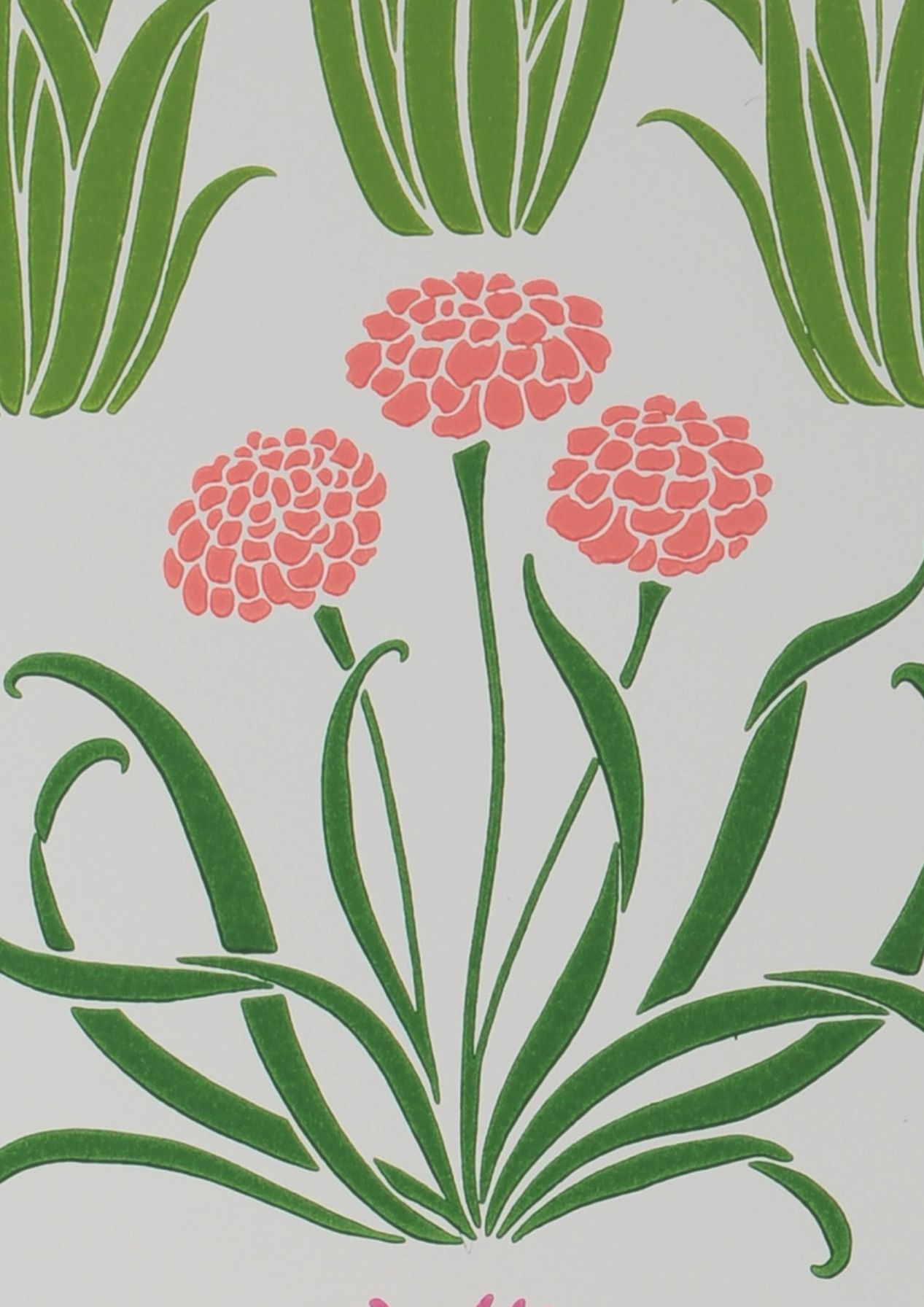 Glade Tulip