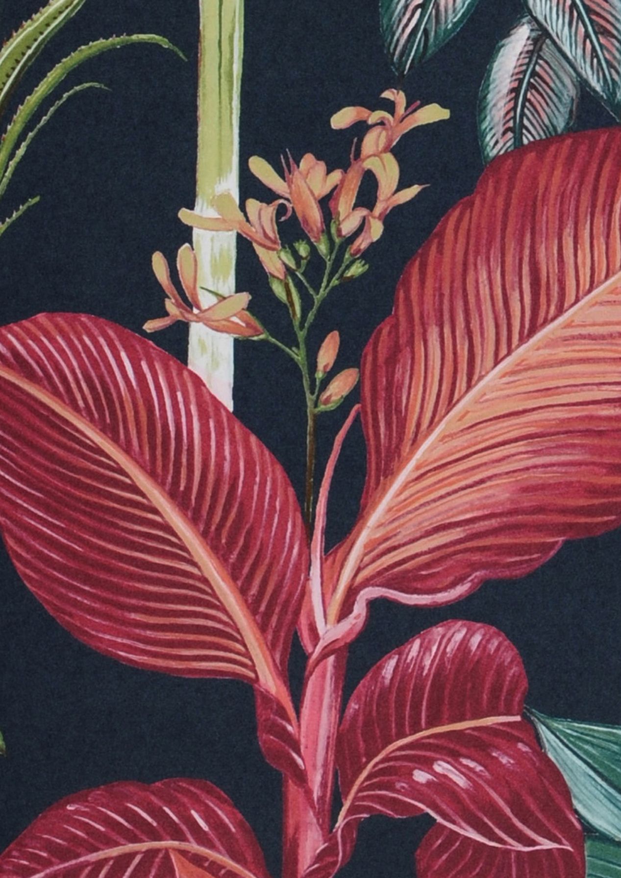 Palmarosa