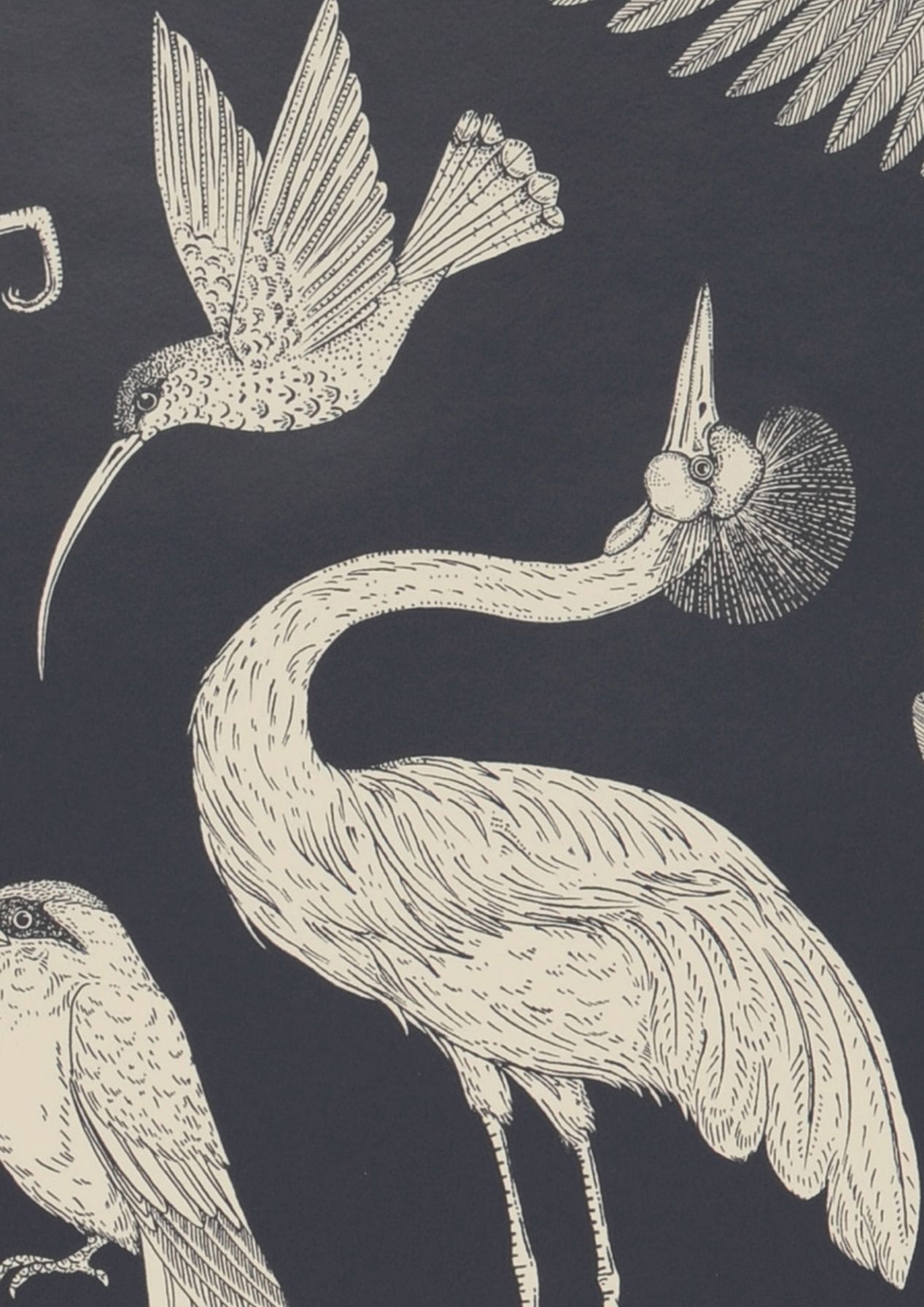 Birds of Happiness