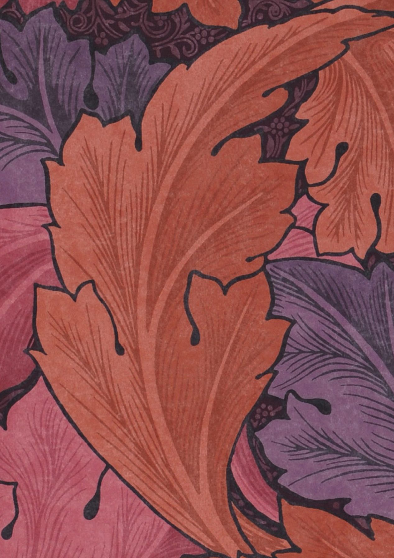 Acanthus