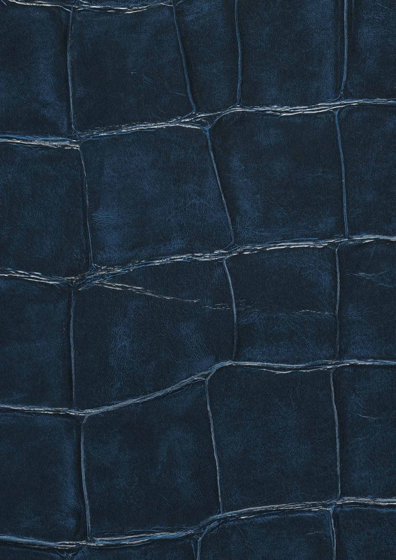 Croco 04