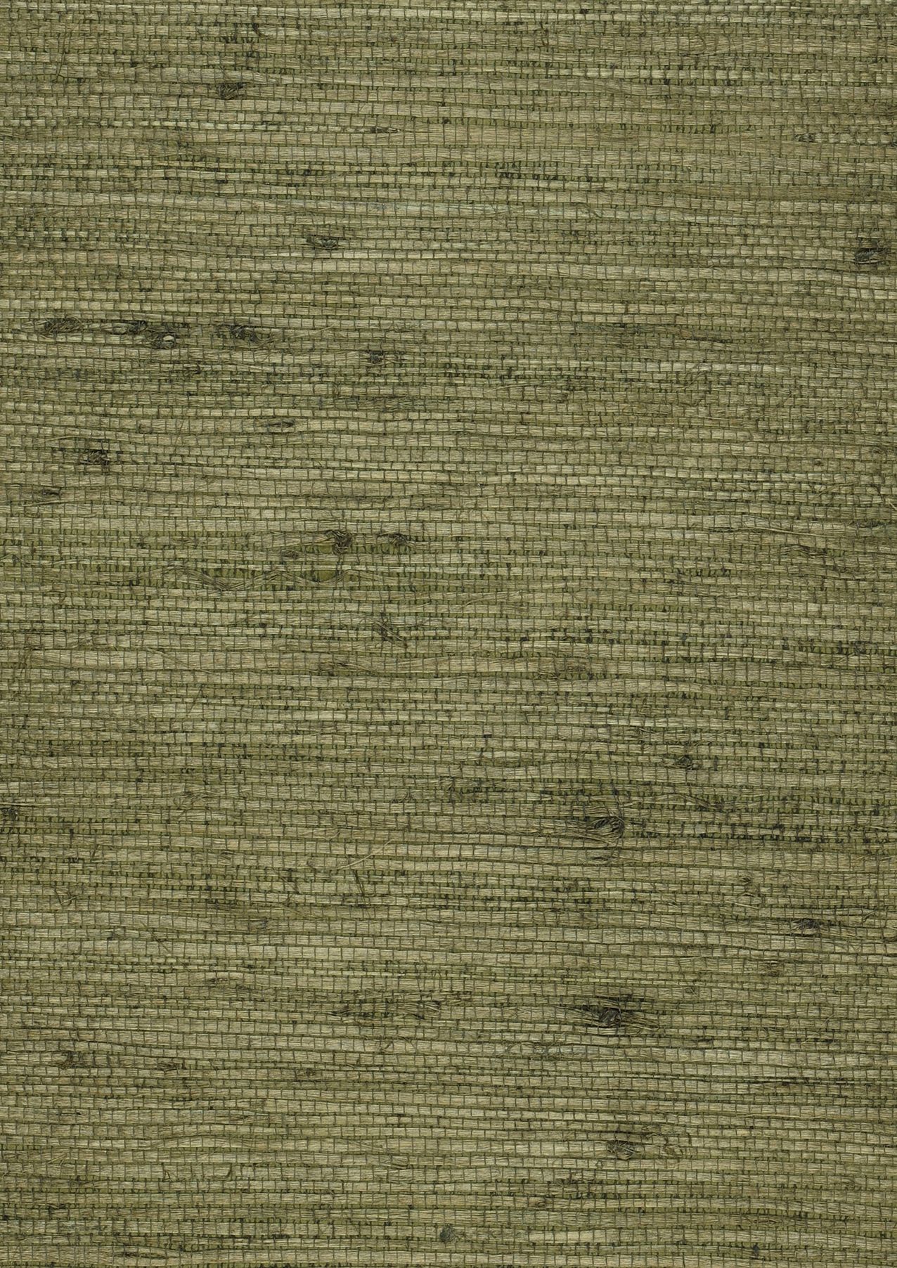 Grass on Roll 12