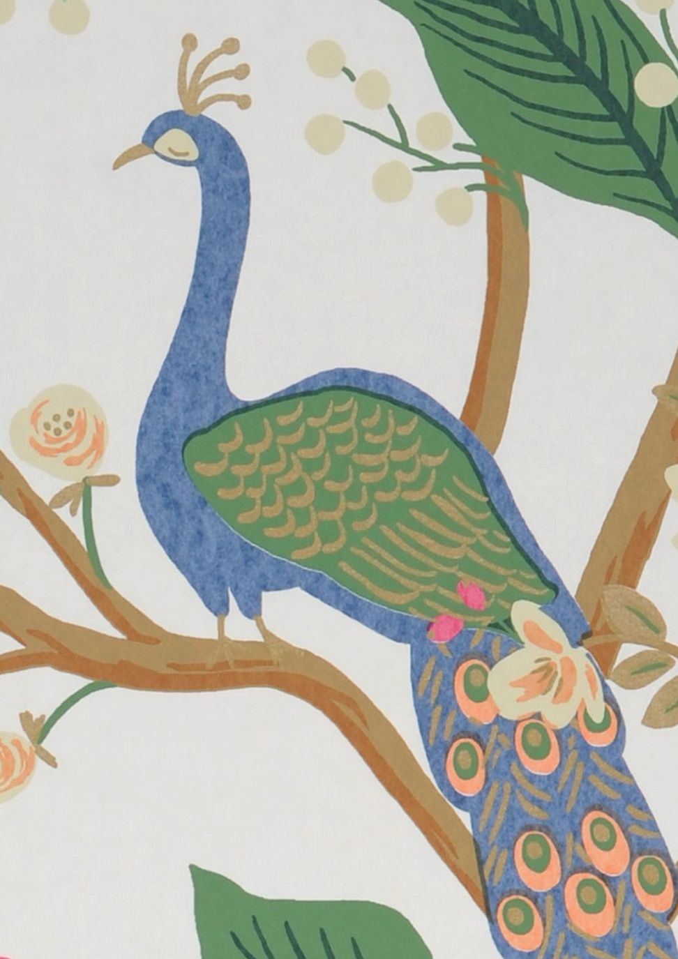 Peacock Tree