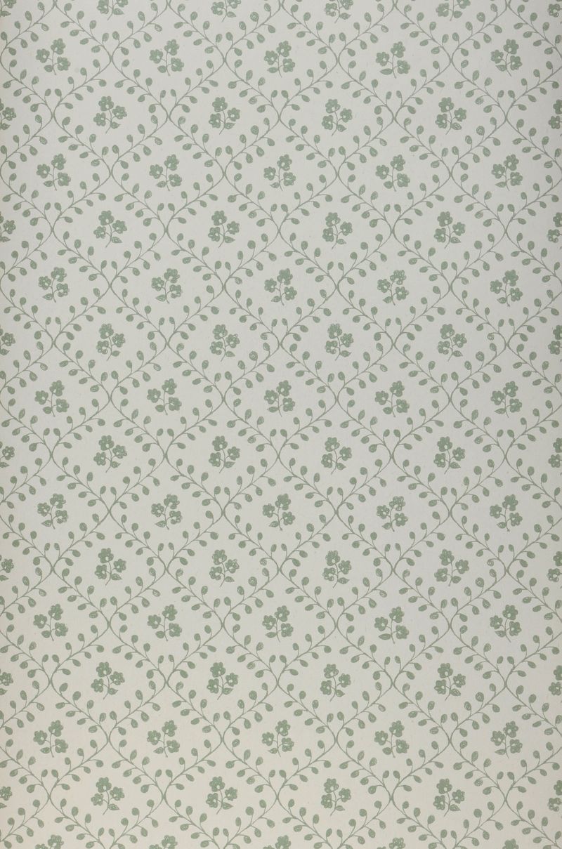 Bahnbreite