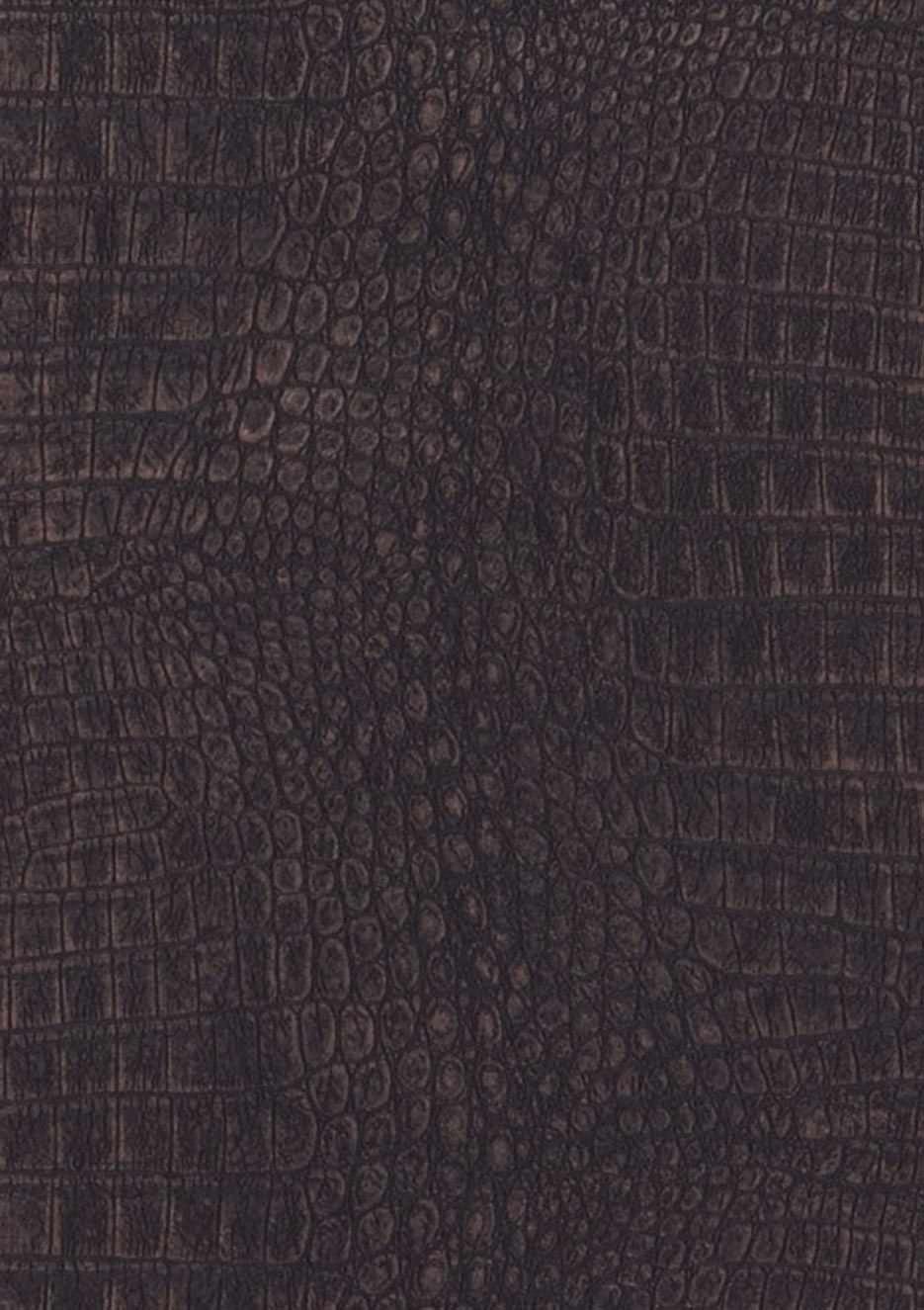 Alligator