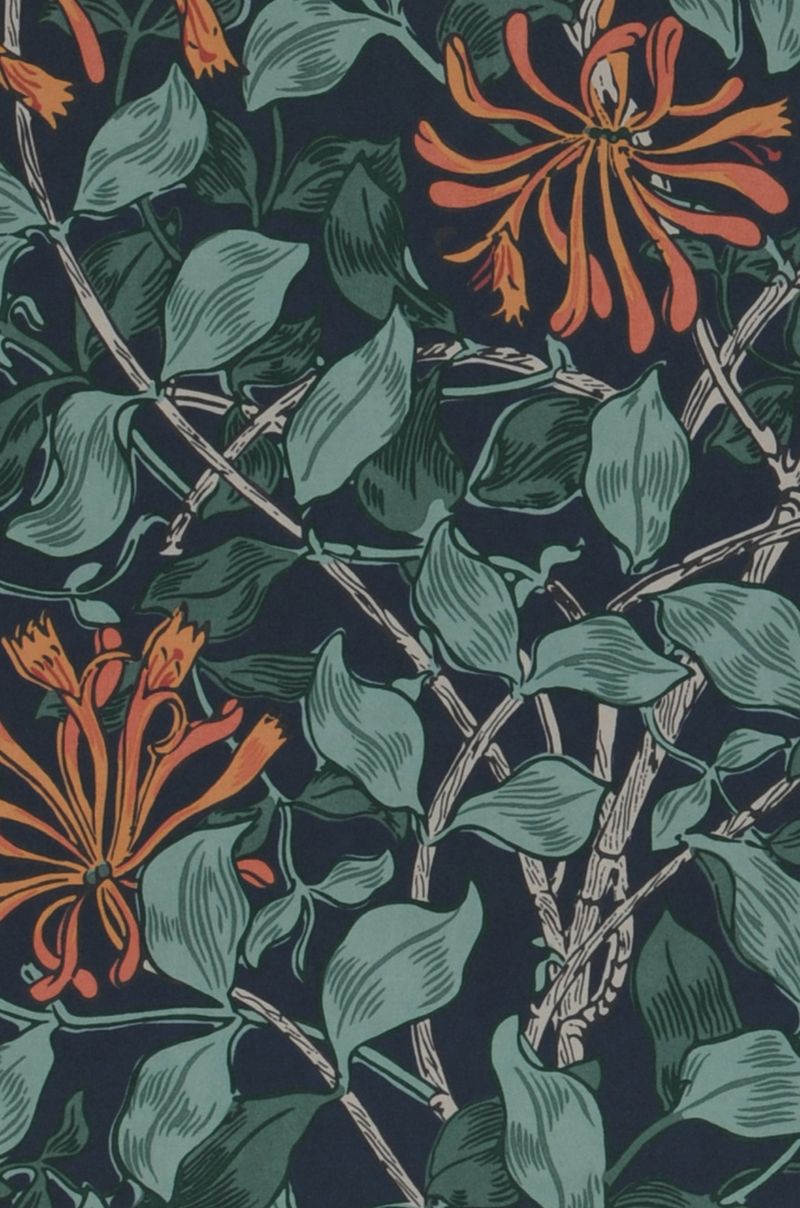 Honeysuckle Neo