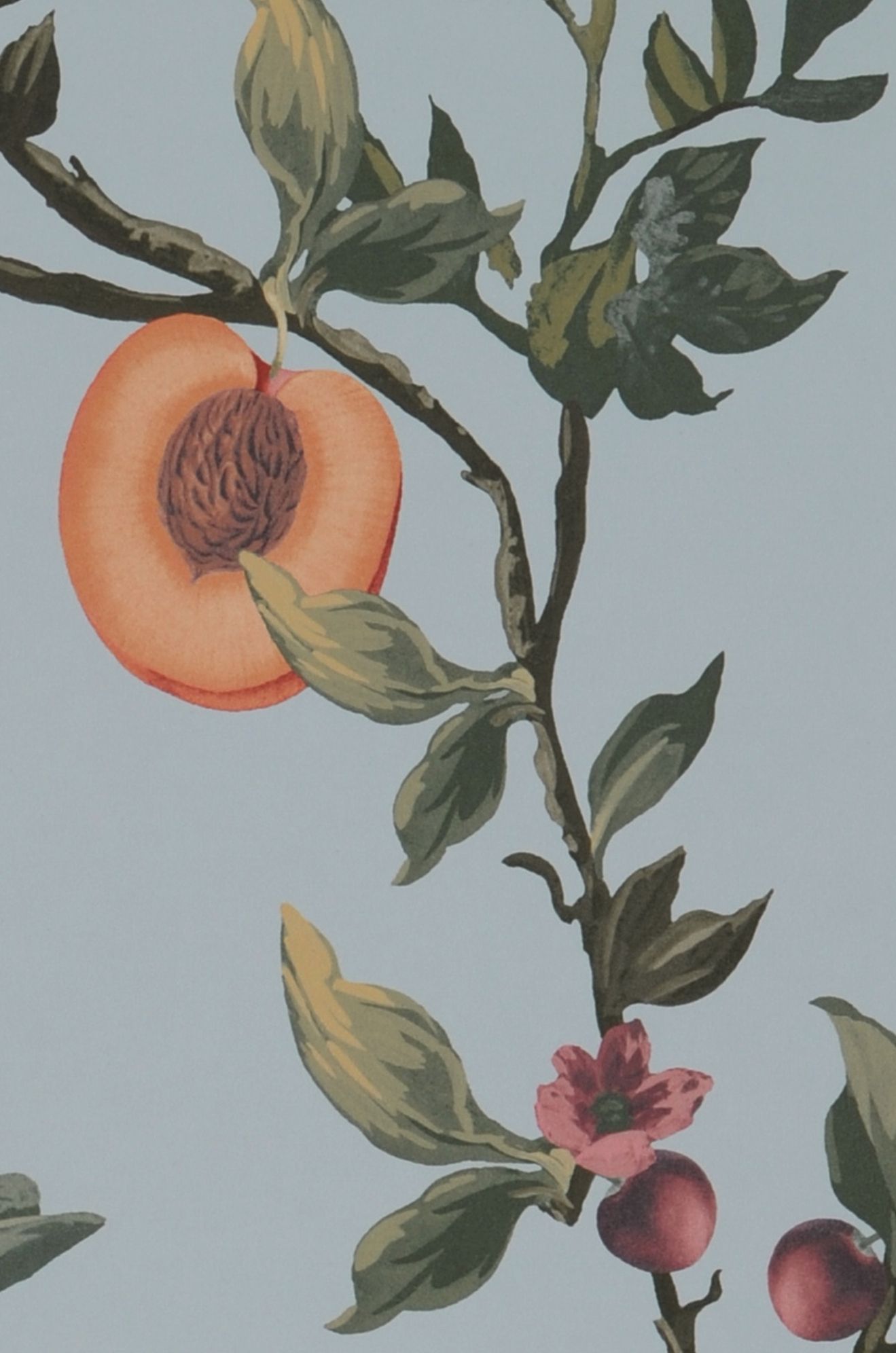 Peaches in Paradise