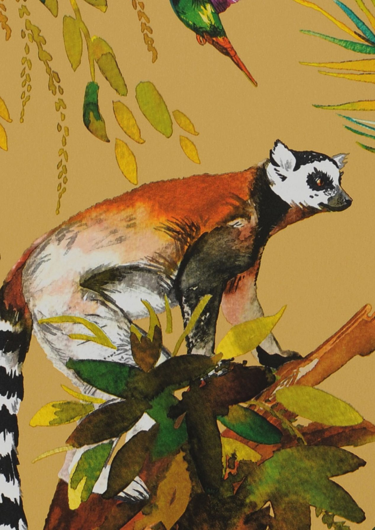 Madagascar