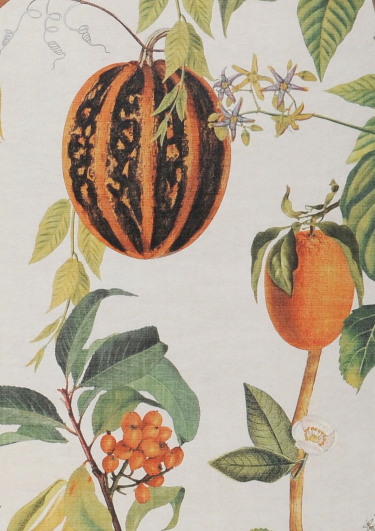 Papel pintado de frutas Samina