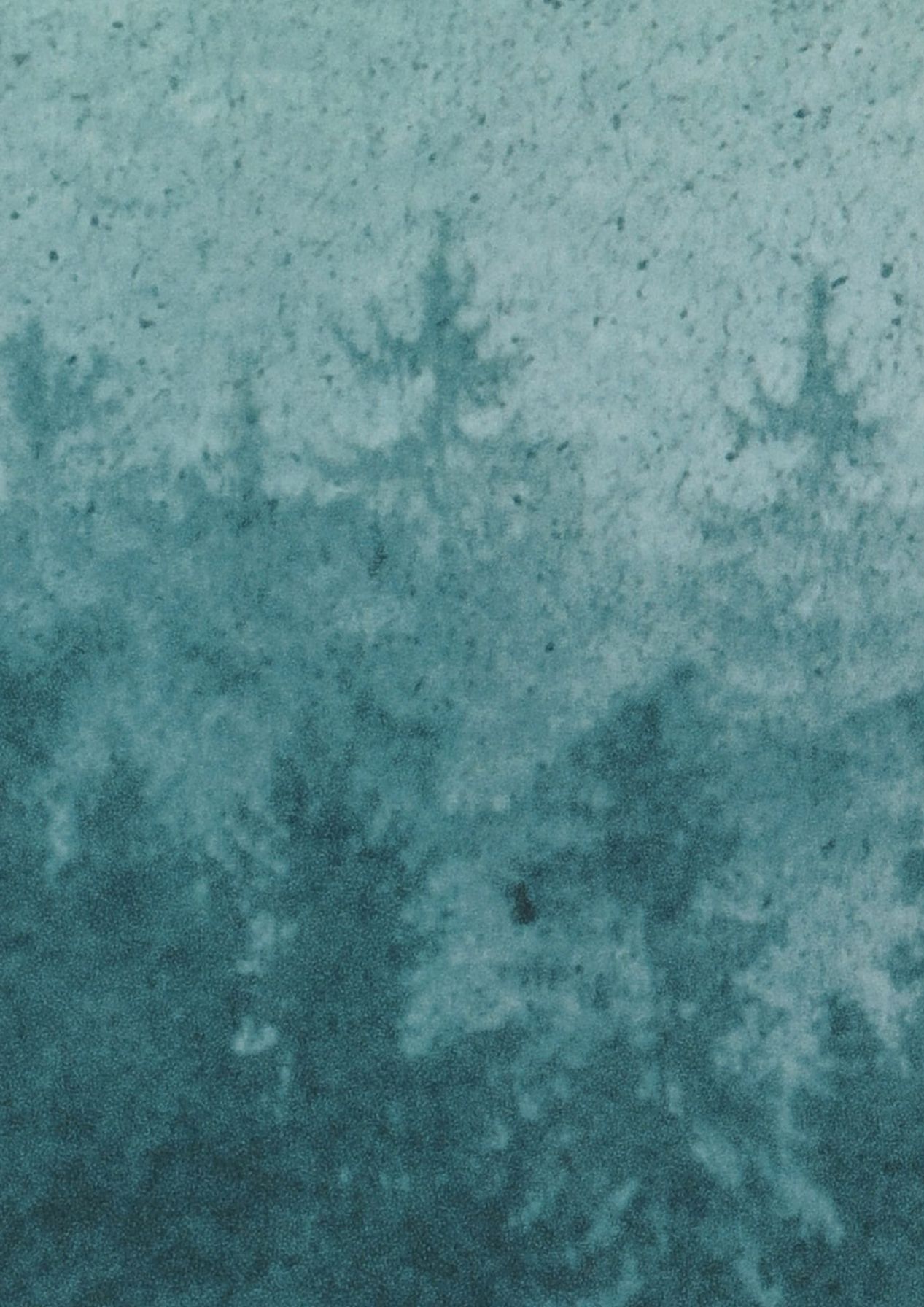 Papel pintado de bosque y árboles Ligea