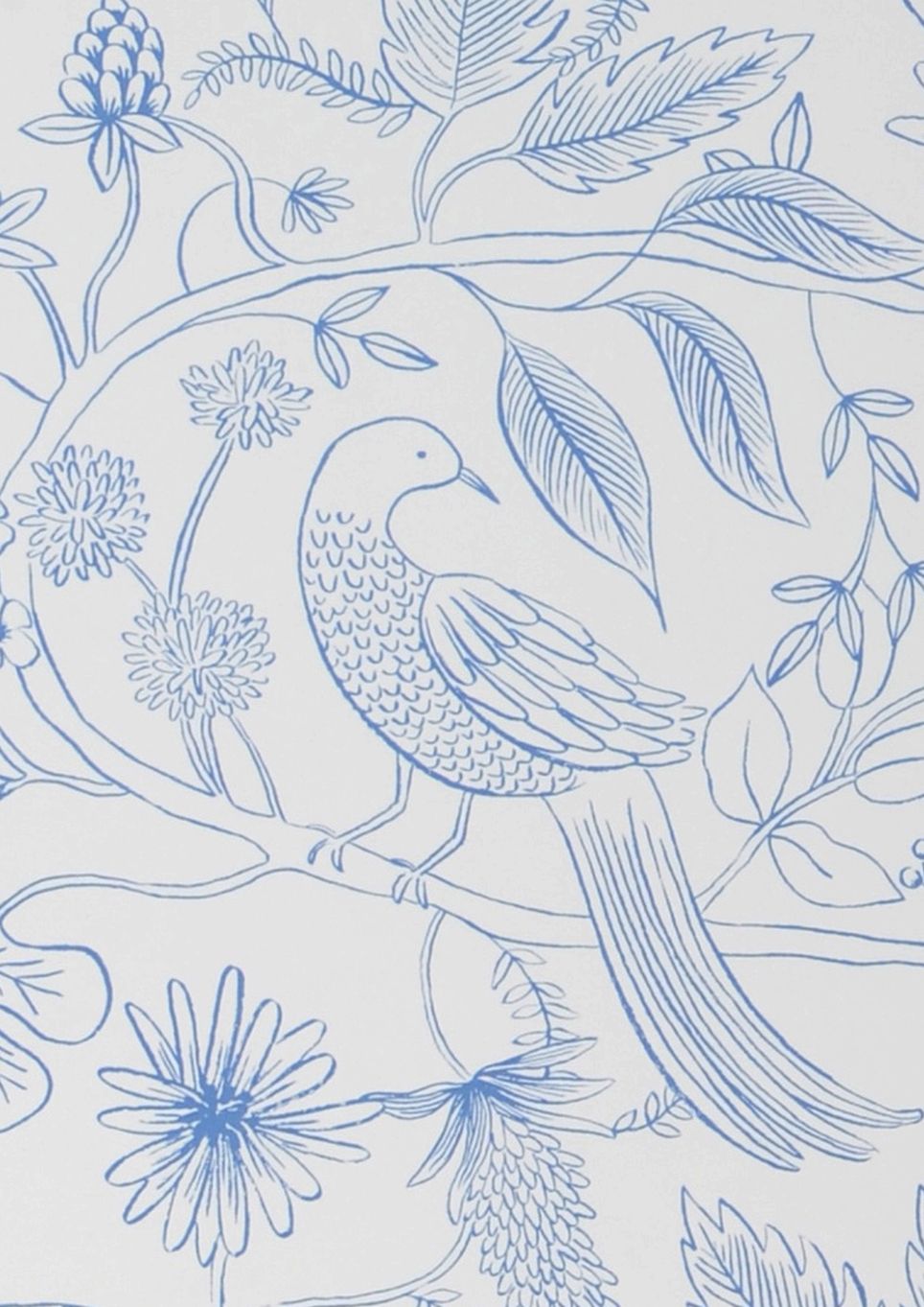 Aviary