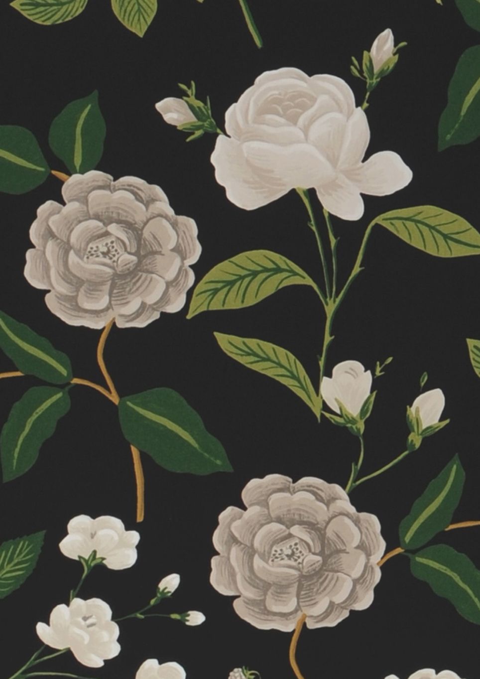 Roses
