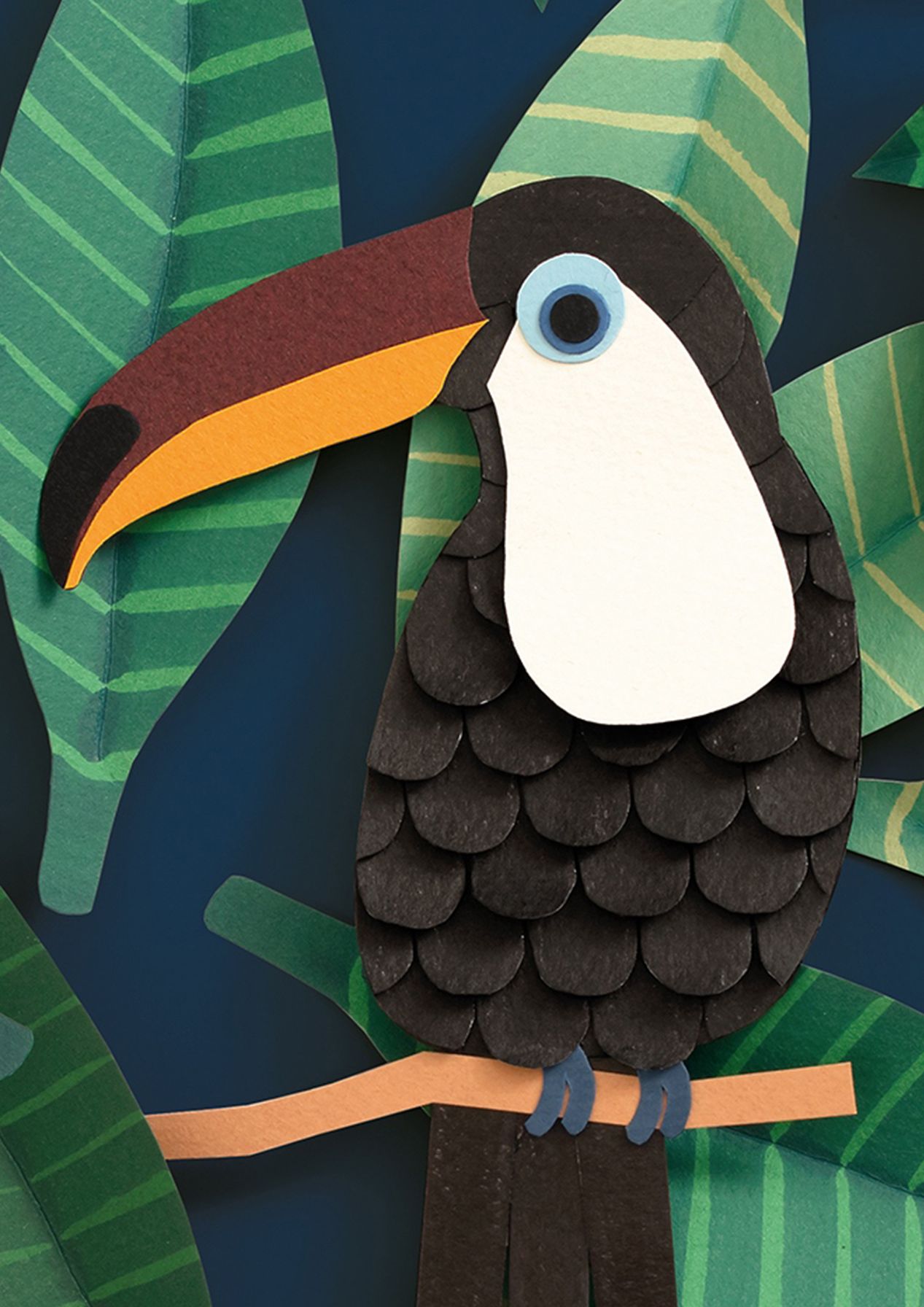Toucan